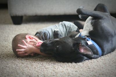 Child and dog playing on floor