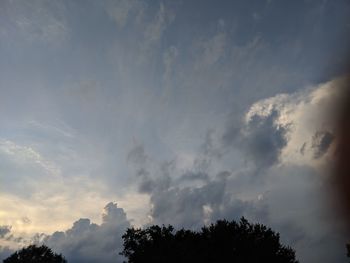 Low angle view of silhouette trees against sky