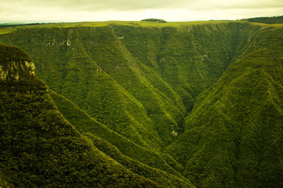 Scenic view of landscape