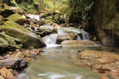 Scenic view of waterfall in forest