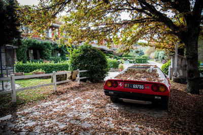 Car parked in park during autumn