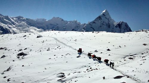 Hikers with mammals on snow against sky