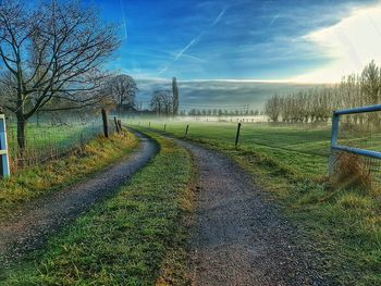 View of grass against sky