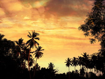 Low angle view of silhouette trees against orange sky