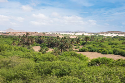 Scenic view of landscape against sky