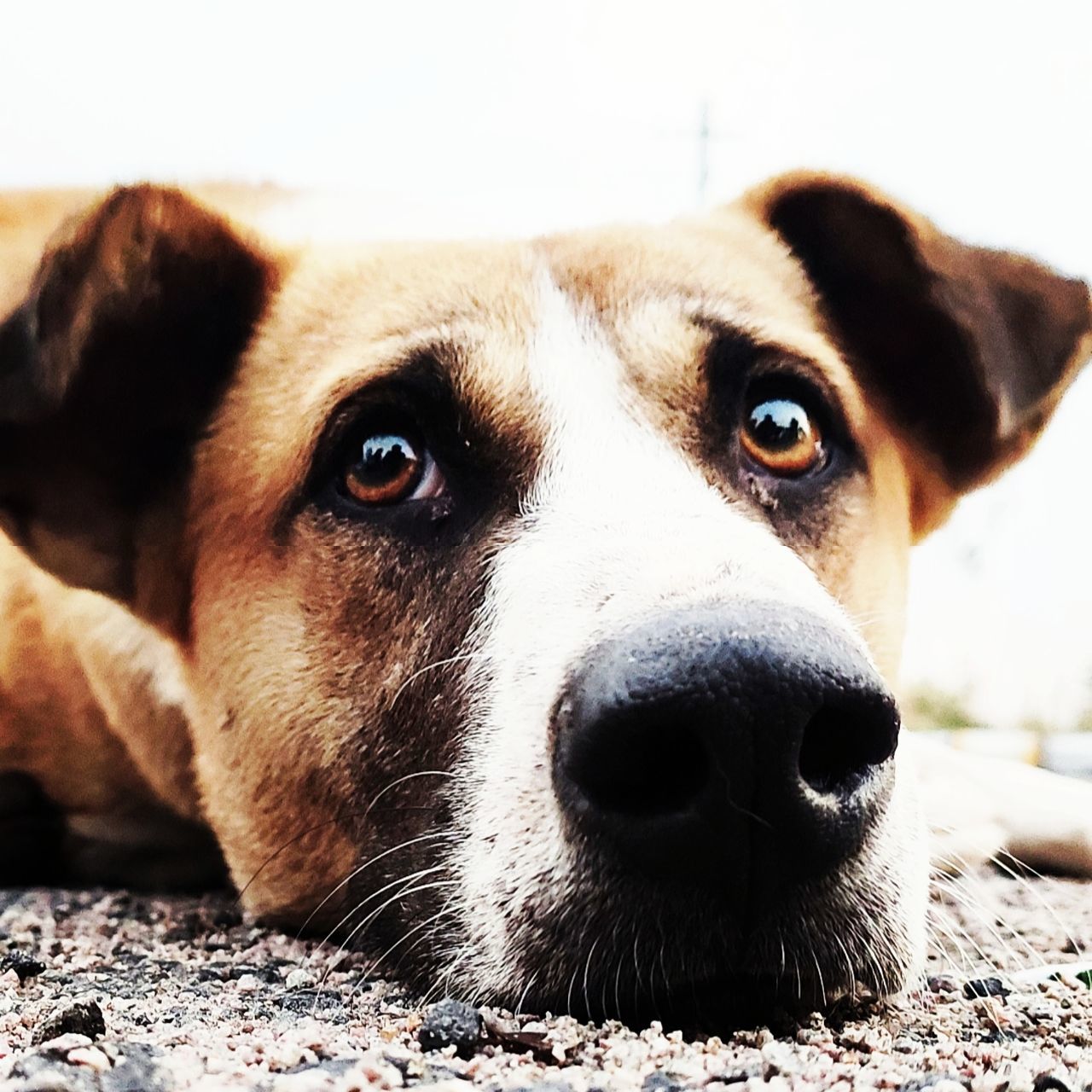 9014147159 photographer