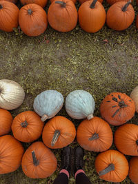 Low section of man standing by pumpkins