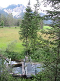 Scenic view of landscape