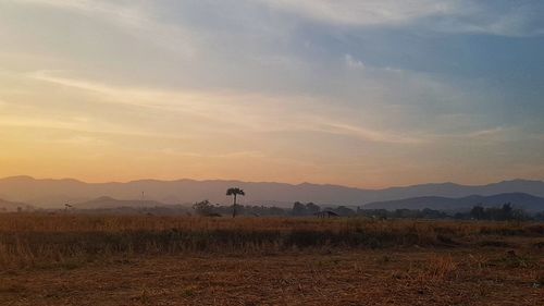 Scenic view of field against sky during sunset