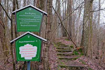 Information sign on tree trunk