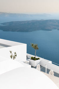 White architectural details with olive tree and  view of the aegean sea at oia in santorini greece