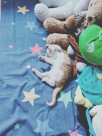 High angle view of cat resting on bed