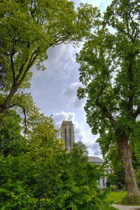 Low angle view of trees and buildings against sky