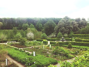 Scenic view of grassy field against sky