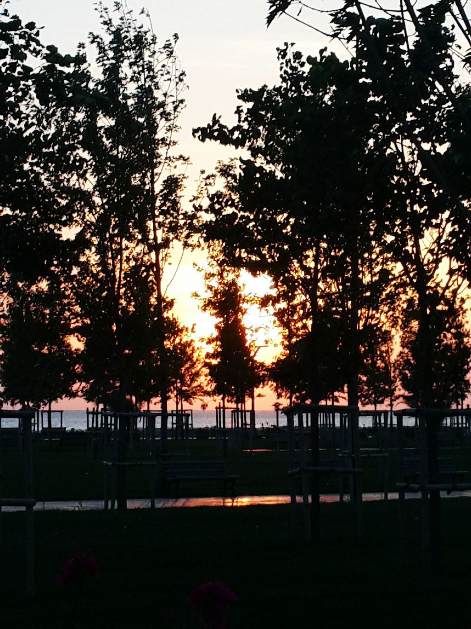 tree, sunset, silhouette, orange color, sky, road, nature, growth, tranquility, park - man made space, branch, beauty in nature, outdoors, street, city, railing, clear sky, tranquil scene, built structure, incidental people