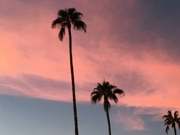 Low angle view of silhouette palm trees against romantic sky