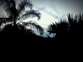 Silhouette of trees against sky at sunset