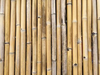 Full frame shot of bamboo fence