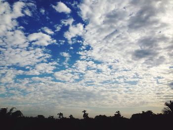 Low angle view of silhouette trees against sky