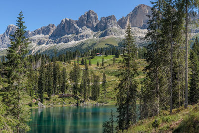 Scenic view of lake and trees against sky