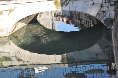 Reflection of trees in water