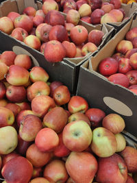 High angle view of apples