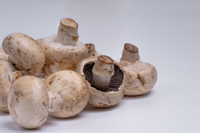 Close-up of mushrooms against white background