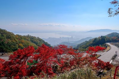 Scenic view of trees against sky during autumn