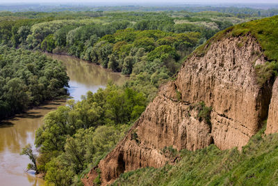 Panoramic shot of trees on landscape against sky