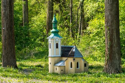 Built structure by trees in forest