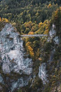 Distant image of bridge on rock formations in forest