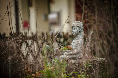 Statue in wild garden