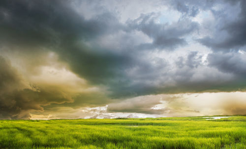 Scenic view of grassy field against dramatic sky