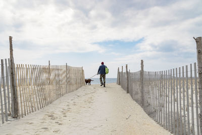 Rear view of man walking with dog at shore of beach