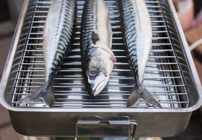 Close-up of food in cage