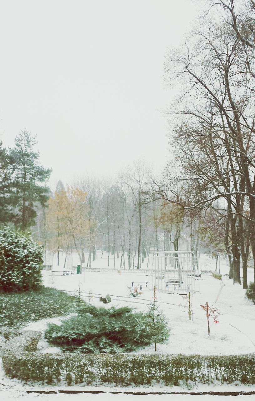 winter, snow, tree, season, cold temperature, weather, tranquility, nature, tranquil scene, beauty in nature, clear sky, covering, scenics, white color, bare tree, landscape, field, branch, growth, frozen