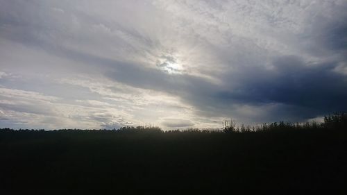 Silhouette trees on field against sky