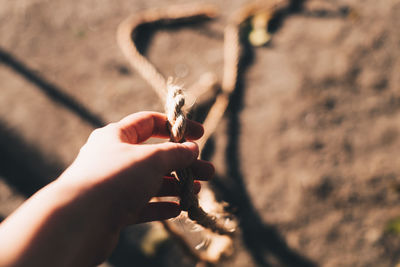 Close-up of hand holding leaf
