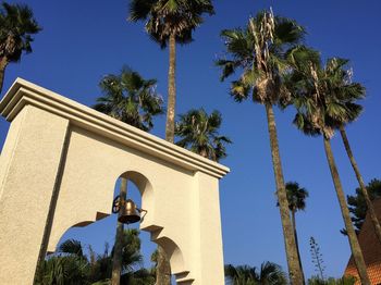 Low angle view of palm trees against blue sky