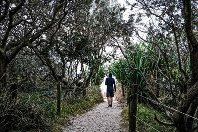 Rear view of woman walking on street amidst trees against sky