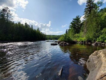 Scenic view of waterfall in forest against sky