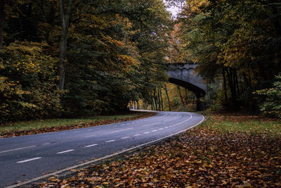 Road amidst trees during autumn