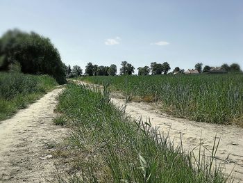 Road passing through field