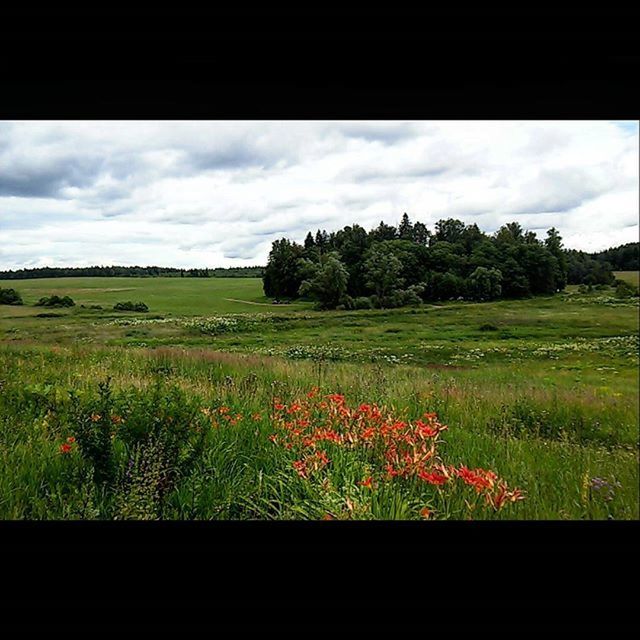 VIEW OF FIELD AGAINST CLOUDY SKY