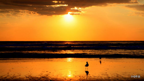 Scenic view of sea at sunset