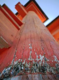 Close-up of red fish on roof