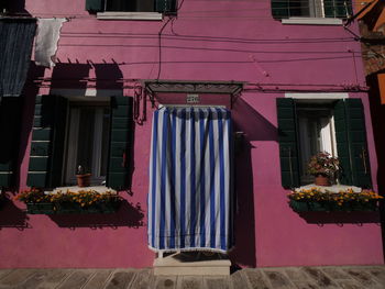 Potted plants outside building