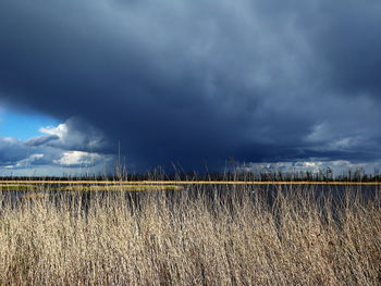 Scenic view of field against storm clouds