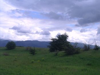 Scenic view of field against sky