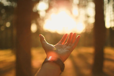 Cropped hand reaching towards sun in forest